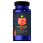 Солодка, Витэкспресс таблетки 500 мг 30 шт пищевой концентрат